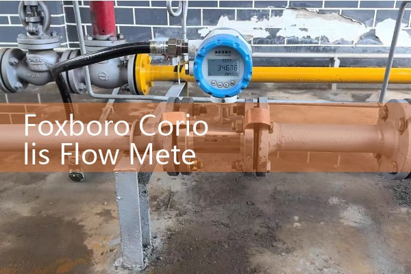 Foxboro Coriolis Flow Meter Sizing: High-Accuracy Mass Flow, Density, and Temperature Transmitters
