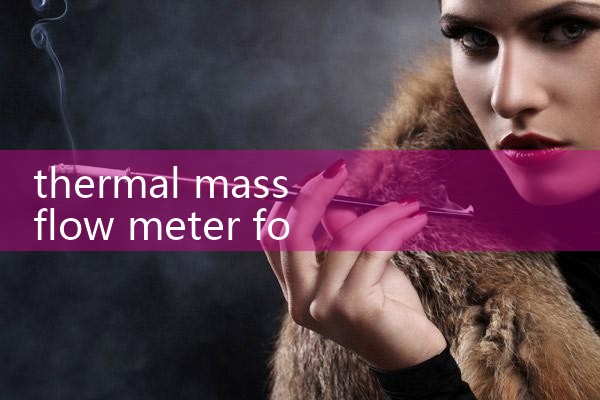 thermal mass flow meter for CO2|clamp on meter