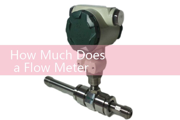 How Much Does a Flow Meter Cost: Ranges from $50 for small consumer plastic rotameters to over $8,000 for high-end industrial Coriolis sets.