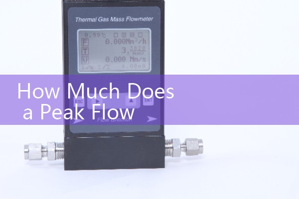 How Much Does a Peak Flow Meter Cost: Costs between $15 and $40 for standard medical models available at most local pharmacies.