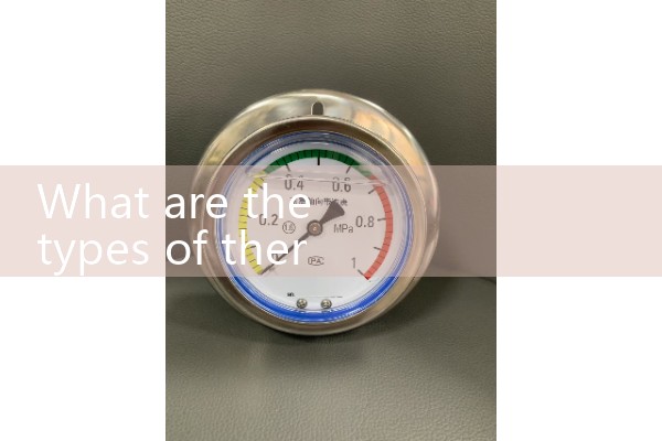 thermal mass meter