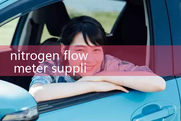nitrogen flow meter supplier|clamp on meter