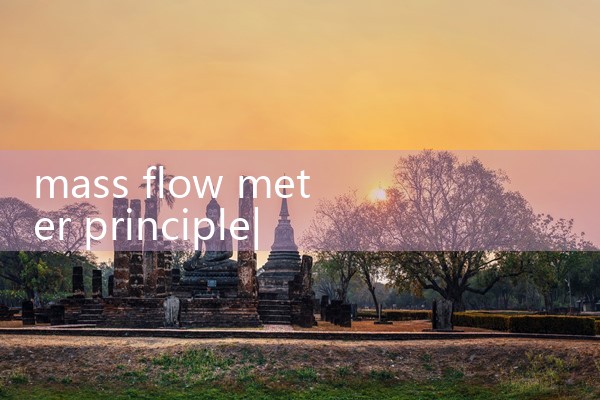 mass flow meter principle|clamp on meter