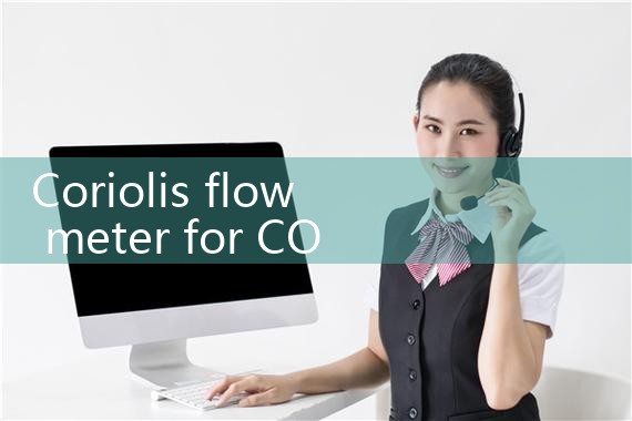 Coriolis flow meter for CO2|clamp on meter