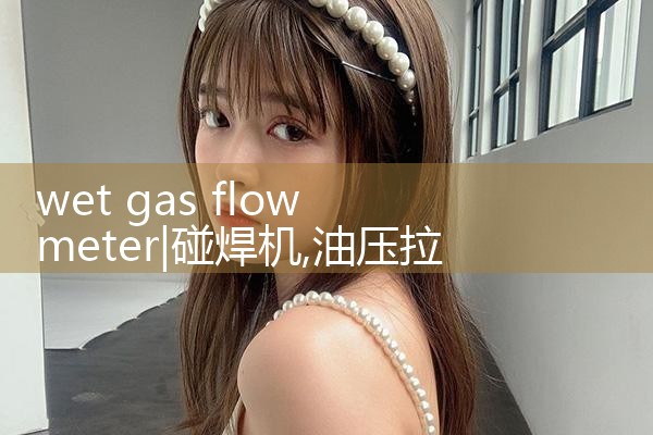 wet gas flow meter|clamp on meter