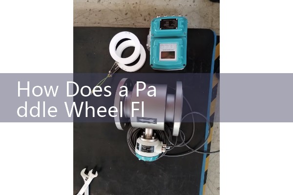 How Does a Paddle Wheel Flow Meter Work: Uses an inserted spinning wheel with embedded magnets to send raw pulse frequencies to a digital display.