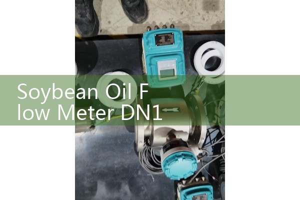 Soybean Oil Flow Meter DN15: Micro-Dosing Strategies for Emulsifier Pipelines