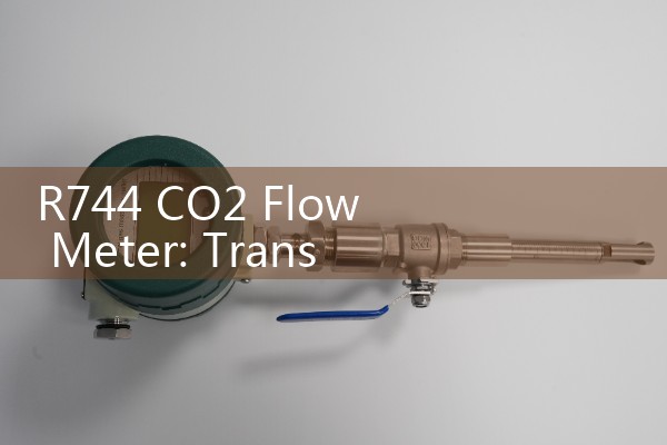 R744 CO2 Flow Meter: Transcritical System Enclosures; manage extreme pressures with specialized training.