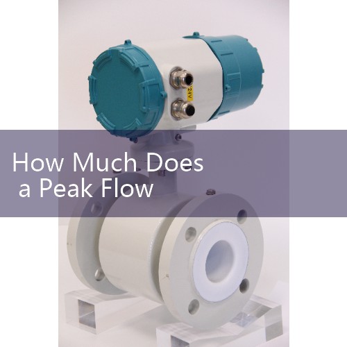 How Much Does a Peak Flow Meter Cost: Costs between $15 and $40 for standard medical models available at most local pharmacies.