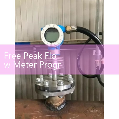 Free Peak Flow Meter Programs: Finding Community Asthma Healthcare Resources and Log Charts