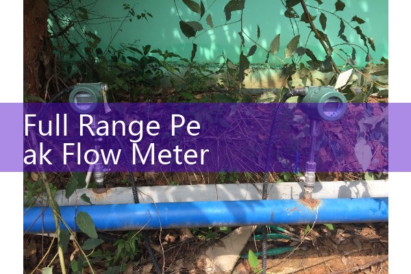 Full Range Peak Flow Meter Instructions: Tracking Daily Respiratory Volumes for Asthma Care at Home