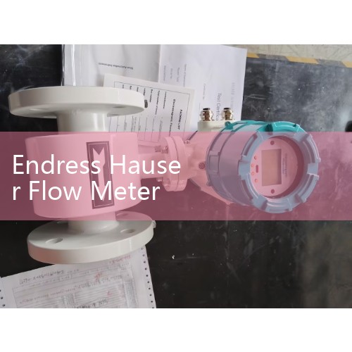 Endress Hauser Flow Meter Catalogue Download: Complete Promag, Promass, and Prowirl Guides